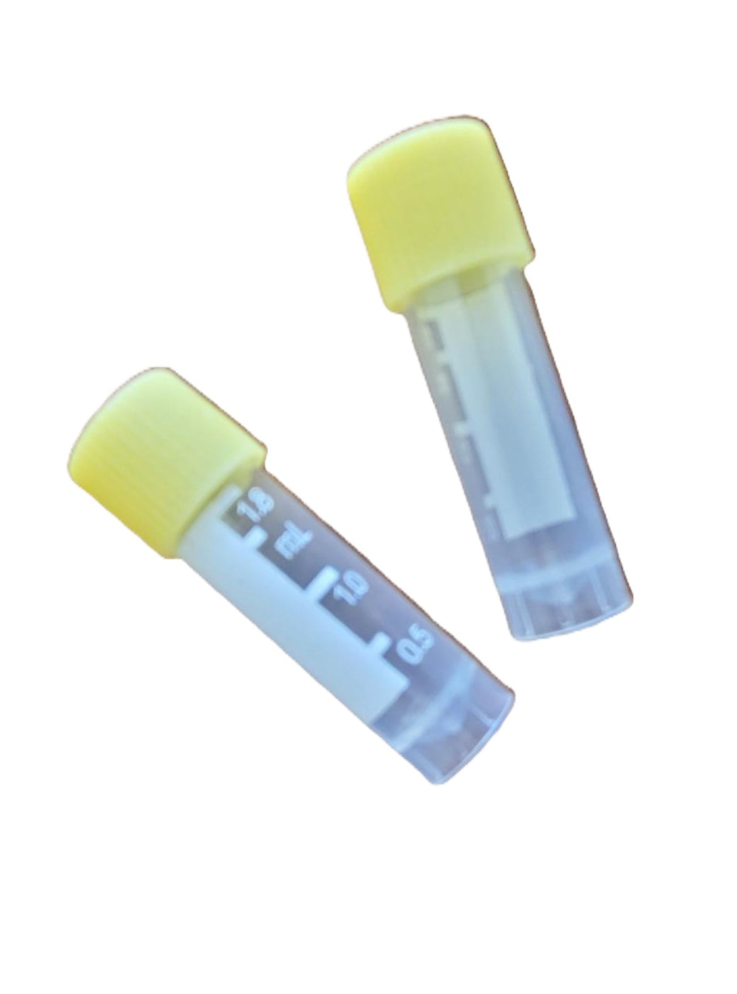 1.8 ml YELLOW Screw Cap Microtubes with silicone gasket, sterile, free of RNase, DNase and pyrogen, 500/bag