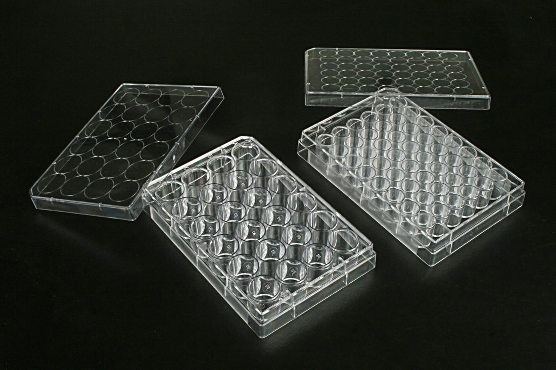 24 Well Multi Well Cell Culture Plates, 1 plate/bag, 100/cs – laguna ...