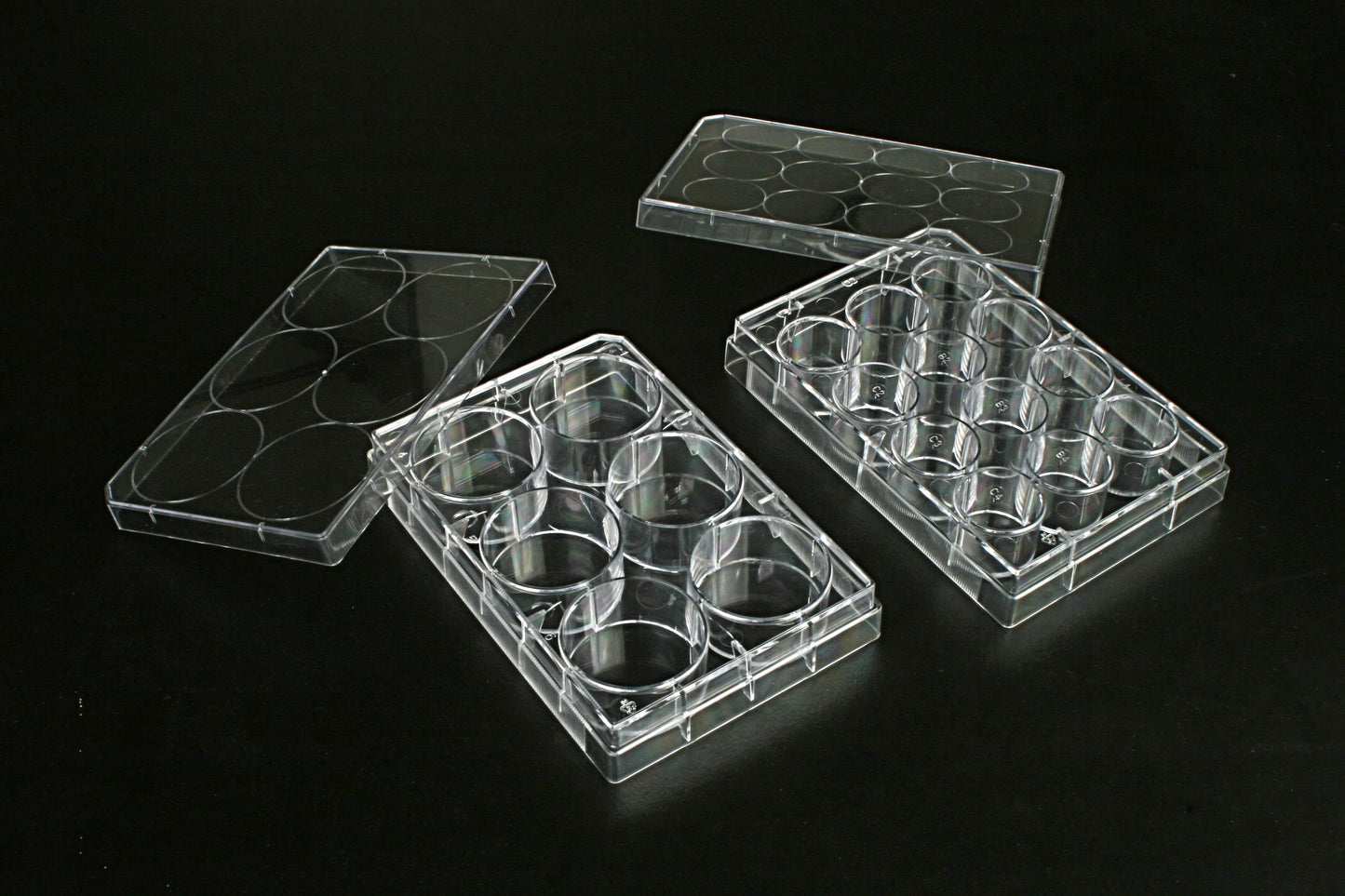 6 Well Multi Well Cell  Culture Plates, 1 plate/bag, 100/cs