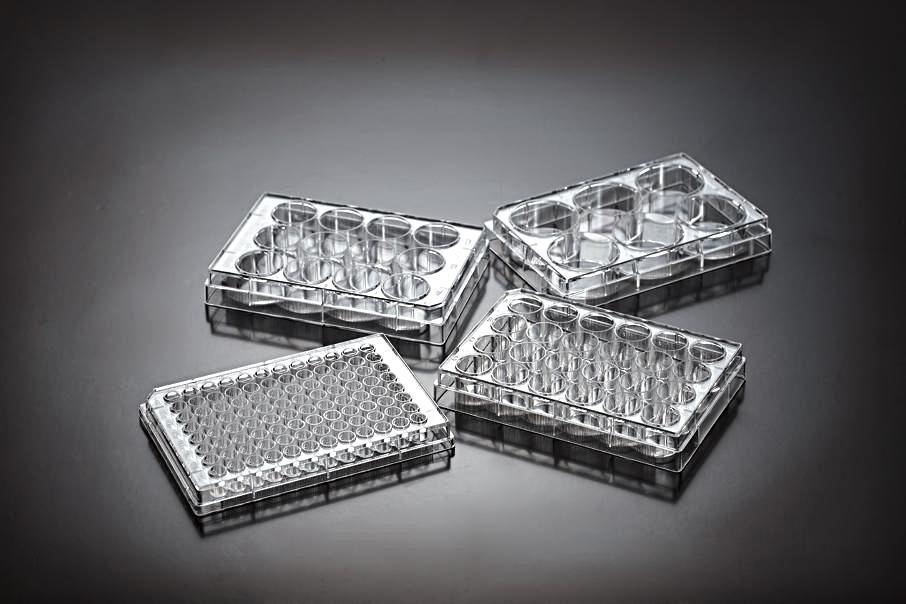 Cell Culture Multi-well Plates, Sterile, Single Pack, 100/case - laguna scientific