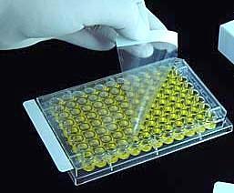 Plate Sealing Film, (PCR, ELISA) ,100/box - laguna scientific