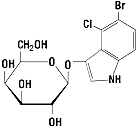 X-GAL, 5-Bromo-4-Chloro-3-Indolyl-ß-D-Galactopyranoside, 1 gm/bottle - laguna scientific
